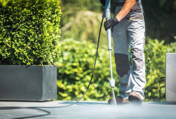 Best Spring Cleaning  in Mount Vernon, AL