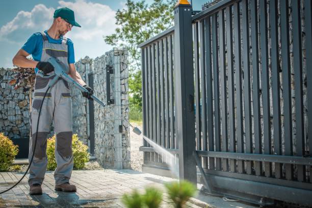 Best Pre-Holiday Cleaning  in Mount Vernon, AL